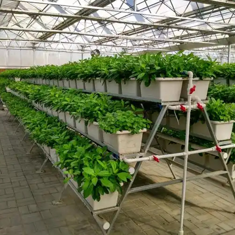 梧州市植物工厂水培设备 - 排名